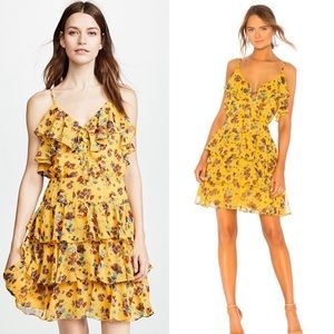 NWT Rebecca Minkoff Marla Dress